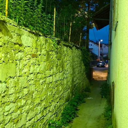 Dinara Livno