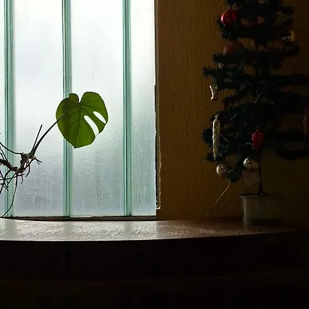 Apartamento Dinara *