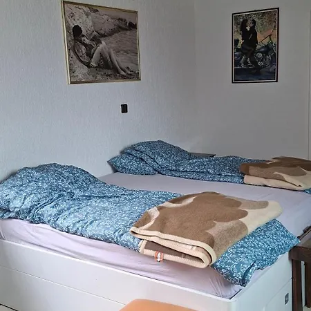 Dinara Livno